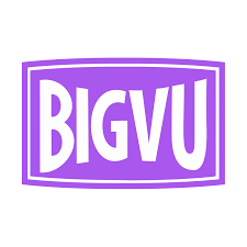 BigVU Coupons and Promo Code