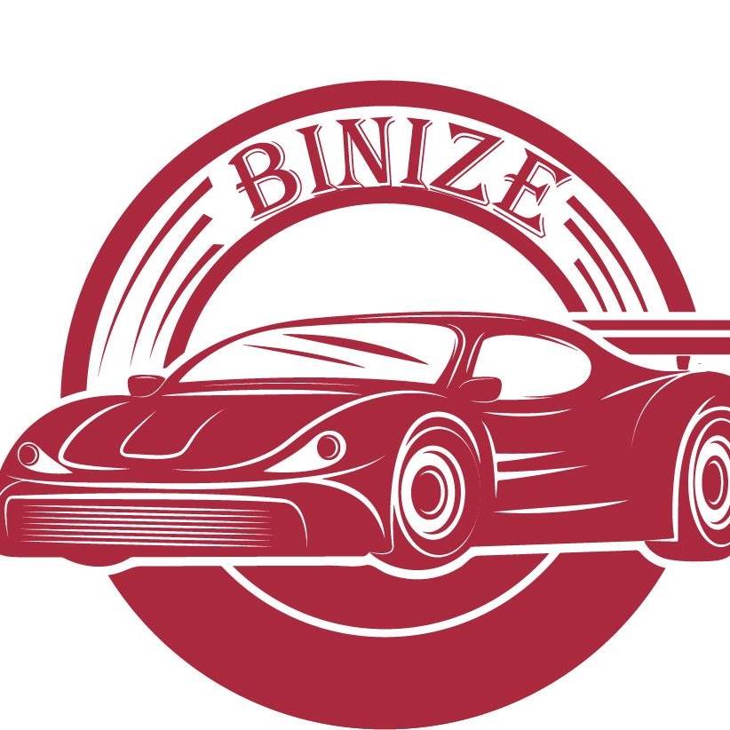 Binize Coupons and Promo Code