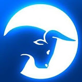 Live Traders Coupons and Promo Code