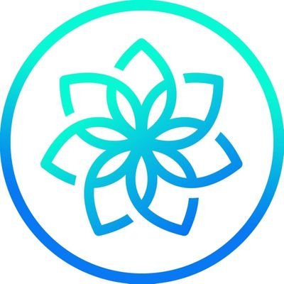Lotas Capital Coupons and Promo Code