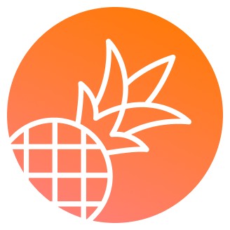 Pineapple Builder Coupons and Promo Code