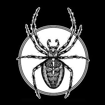 The Spider Shop Coupons and Promo Code