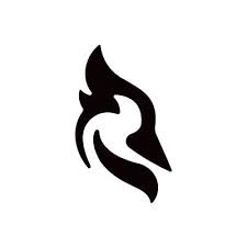 Woodpecker Tool Coupons and Promo Code